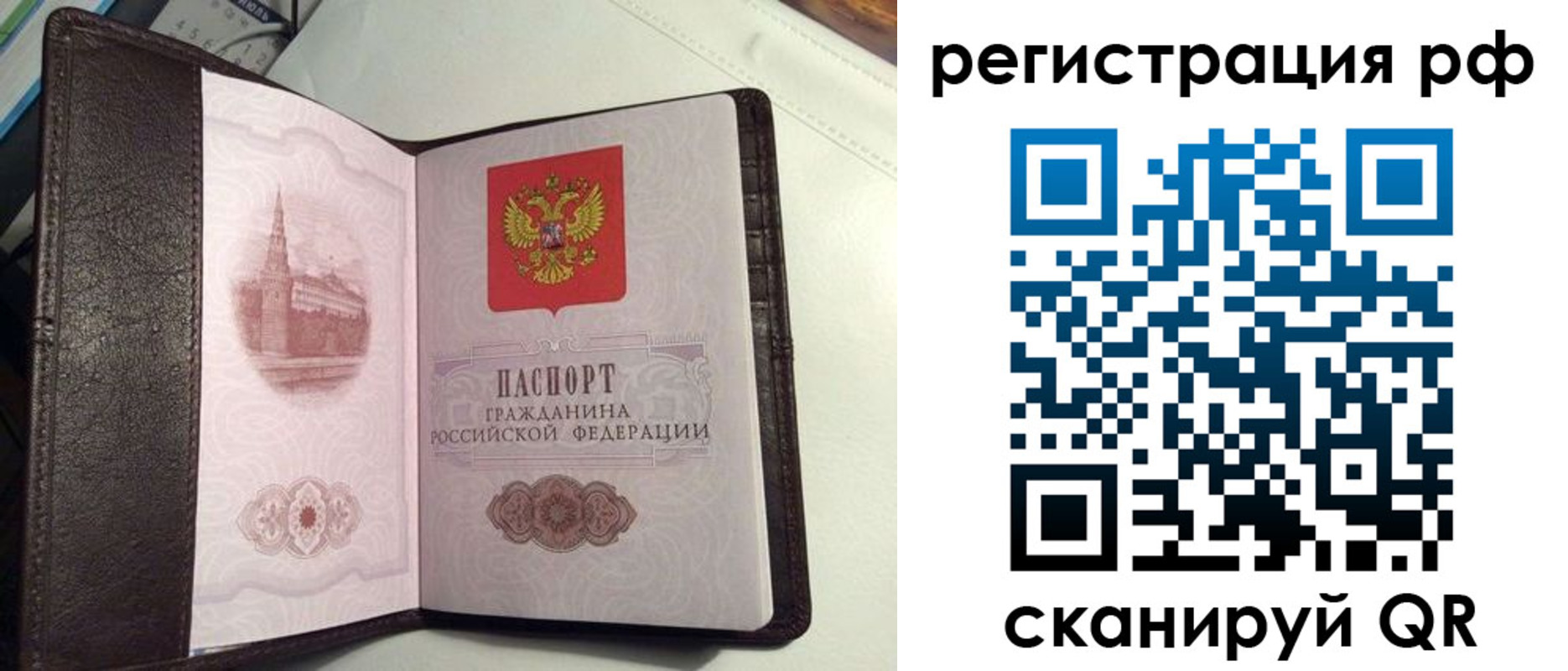 купить прописку в Мончегорске