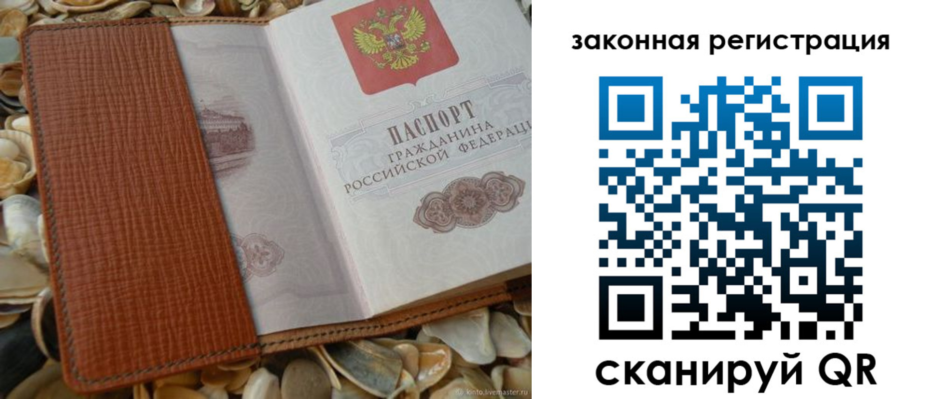 прописка паспорт в Мончегорске